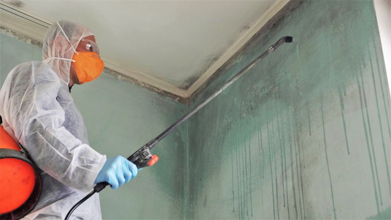 Crawlspace Mold Remediation in Broward County, FL