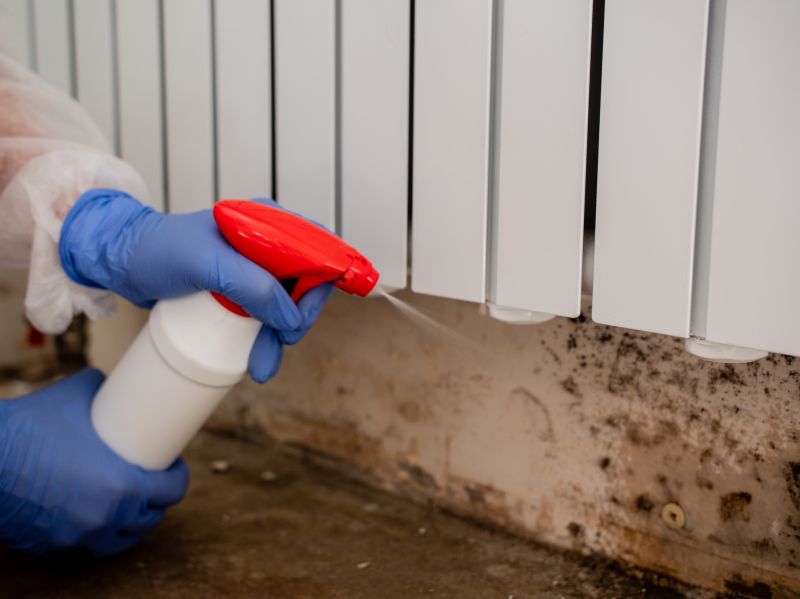 Crawlspace Mold Remediation in Jupiter, FL