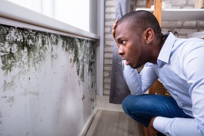 Mold Control in Denton, TX