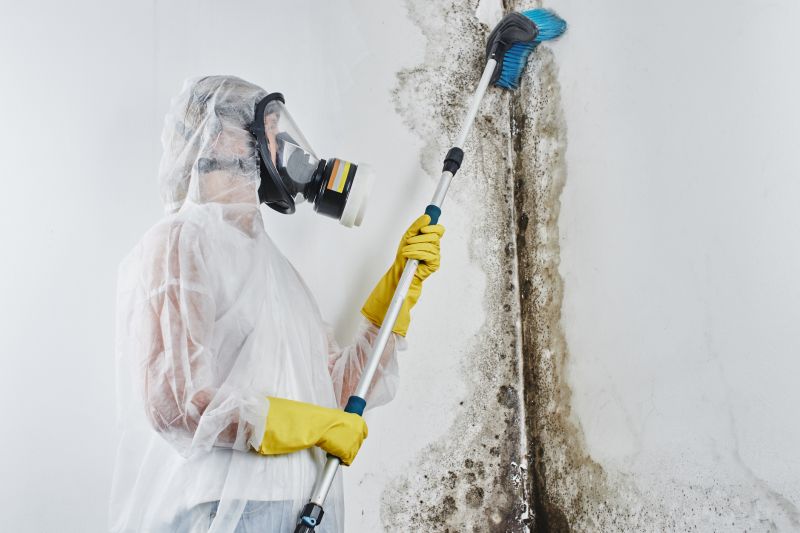 Contact About Mold Repair Service