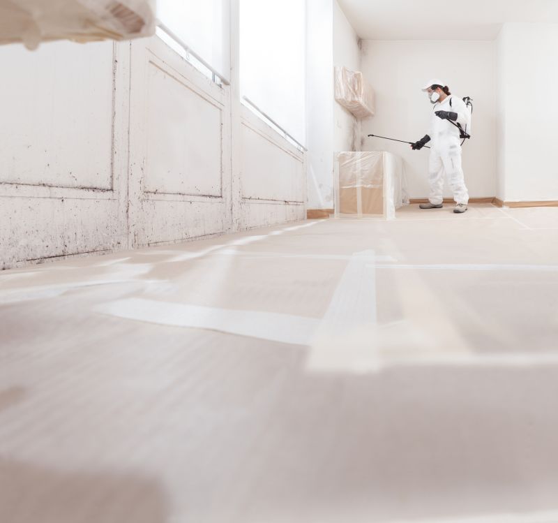 Mold Restoration in West Palm Beach, FL