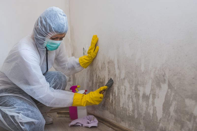 Attic Mold Removal in Bergen County, NJ