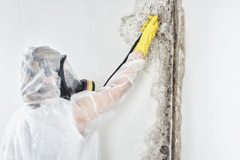 Black Mold Removal in Rockwall, TX