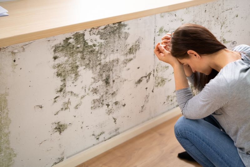 Black Mold Removal in Weatherford, TX