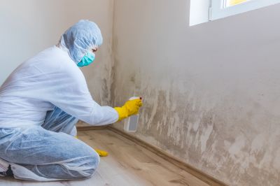 Crawl Space Mold Removal in Boca Raton, FL