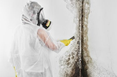 Mold Abatement in Boynton Beach, FL