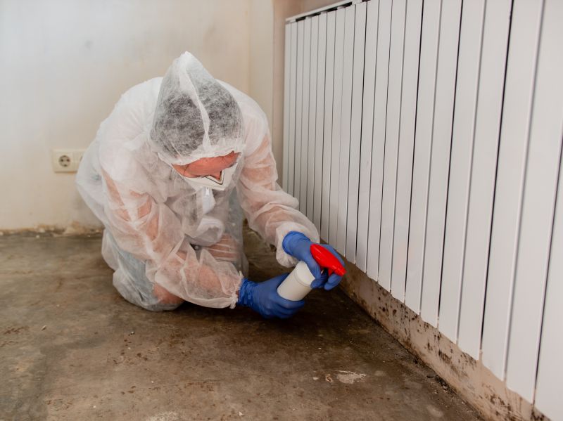 Mold Mitigation Service in Frisco, TX