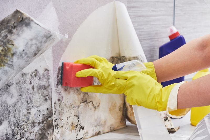 Mold Remediation Service in Broward County, FL