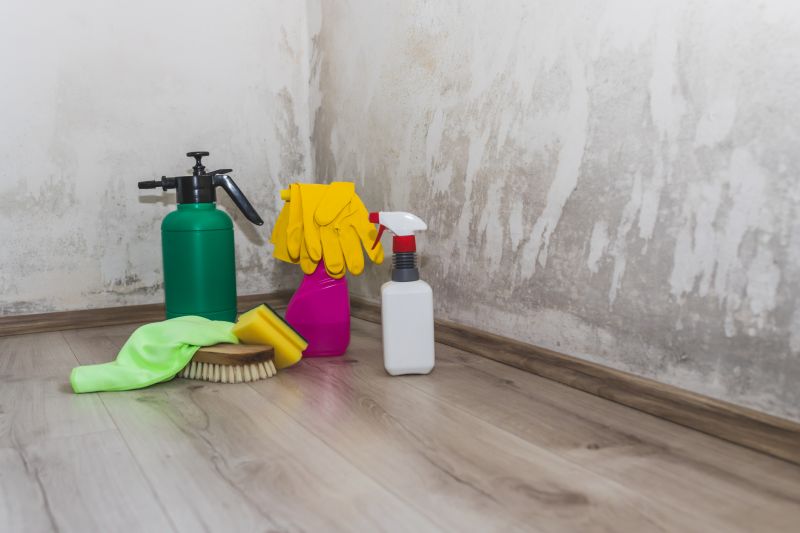 Mold Repair Service