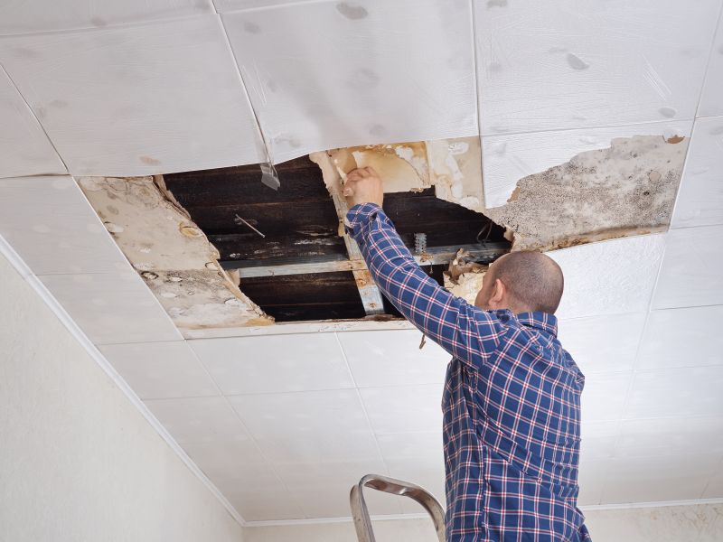 Mold Repair Service
